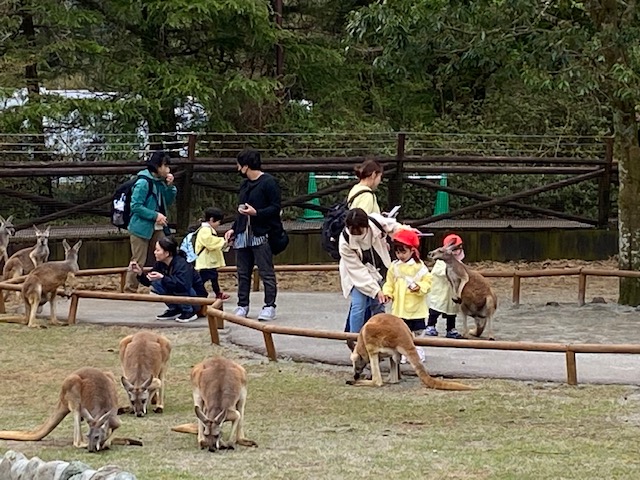 保護中: ☆親子遠足☆