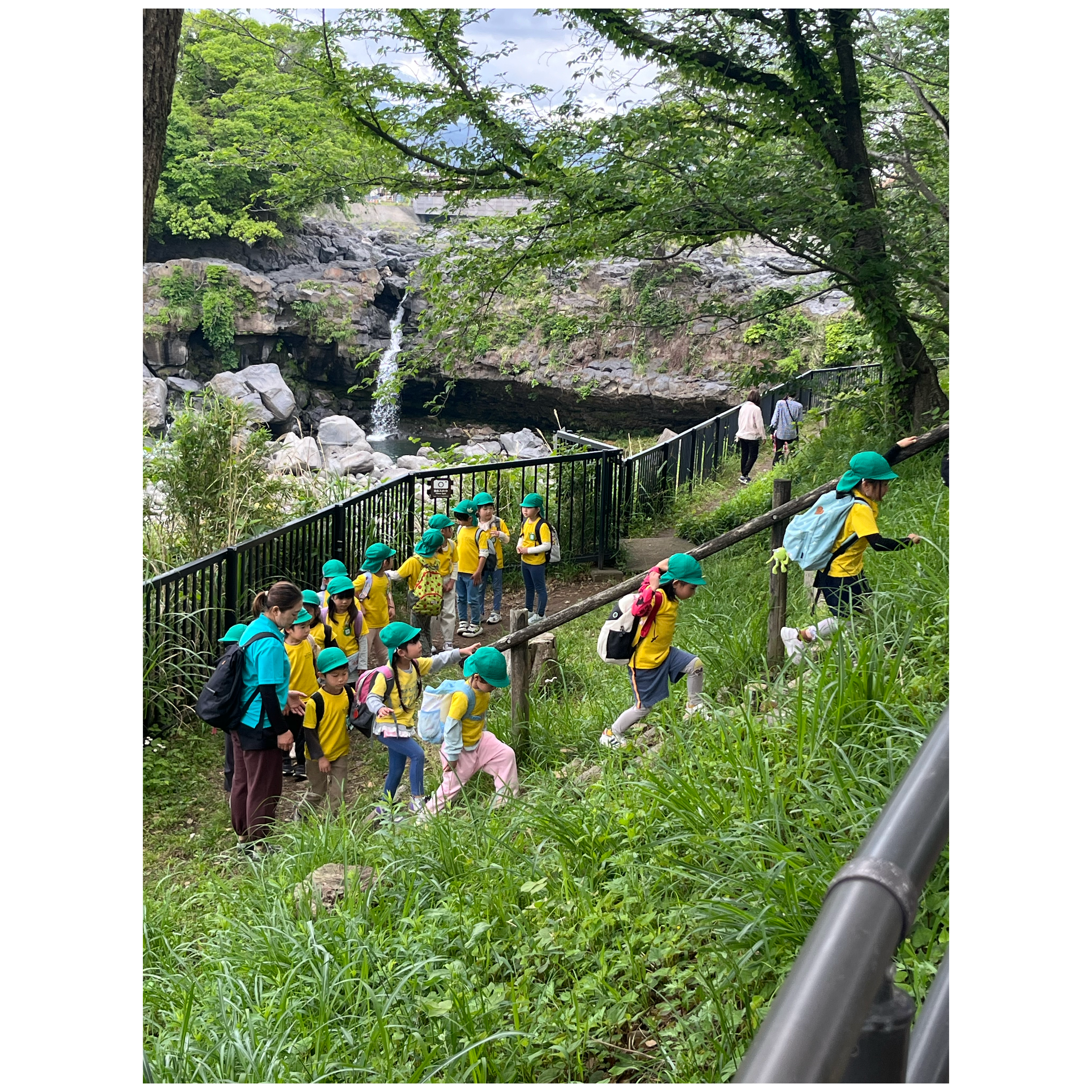 保護中: ☆年長組園外保育☆